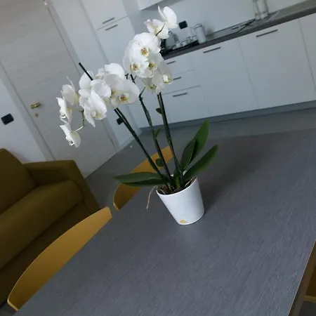 Palazzo Accademia Apartament Alba (Piedmont)